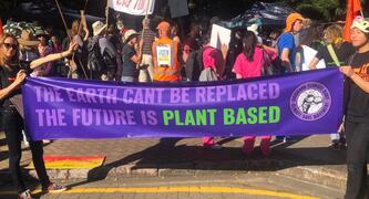 The future is plant based