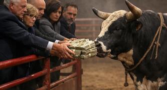 Bull image