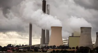 Protect forests, not polluters