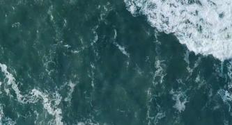 Protect our oceans