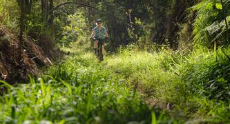 Protect QLD's Sth East Forests