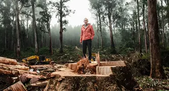 Native forest declaration - image from Bob Brown Foundation website