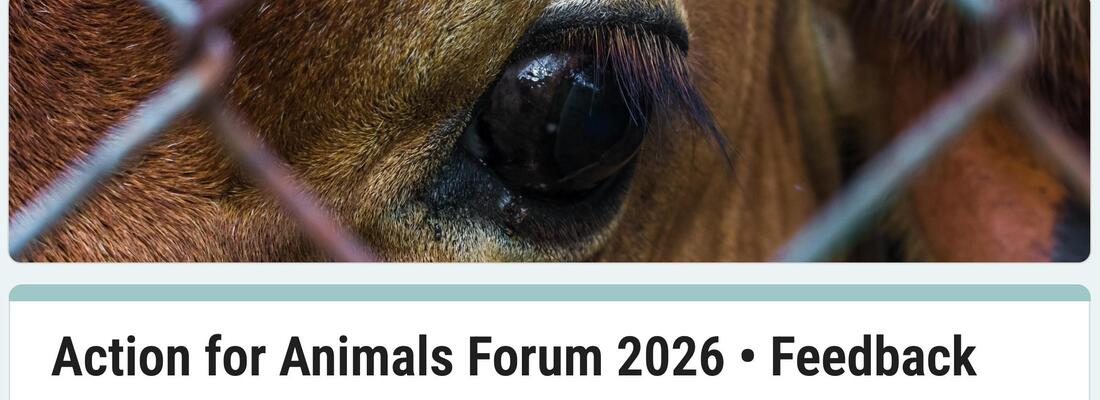 A4A Forum 2026 Feedback Form
