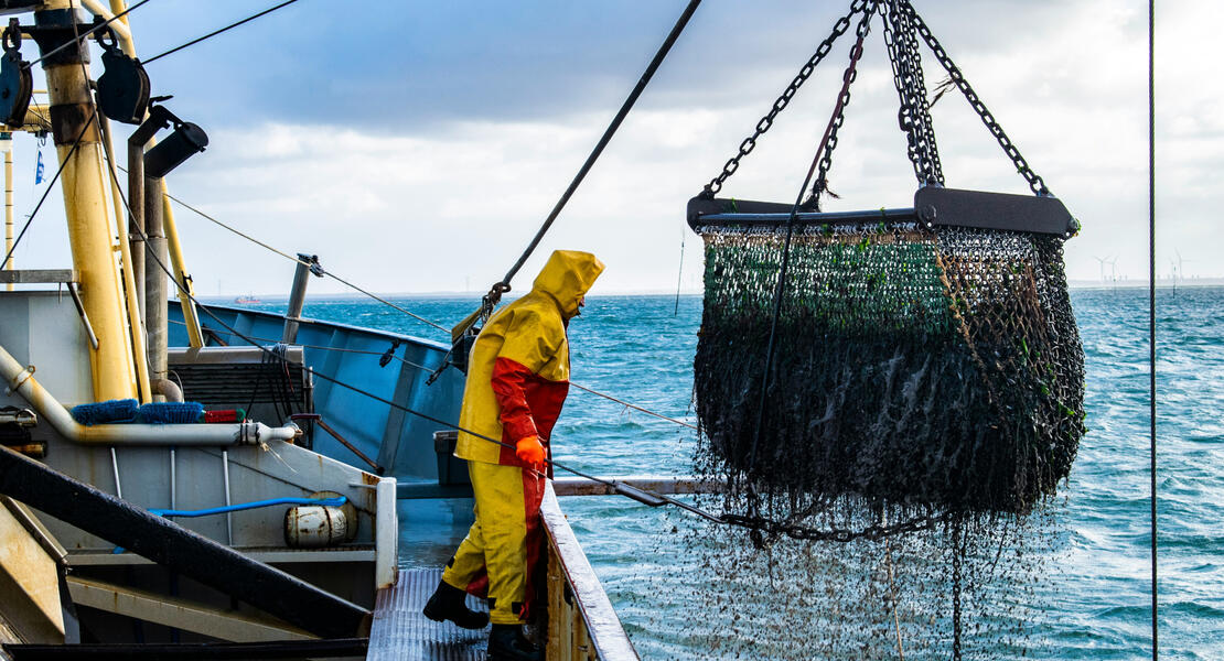 Photo by Paul Einerhand on Unsplash
