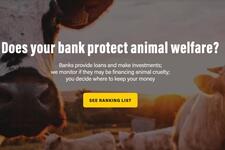 Banks For Animals campaign website snapshot