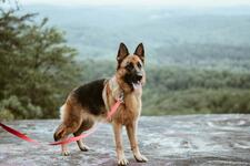 Photo by Katelyn MacMillan on Unsplash
