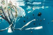 Ocean plastic - photo by Naja Bertolt Jensen on Unsplash