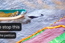 Stop the Taiji dolphin hunts