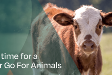 Together, we can transform the broken animal welfare system.