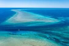 Tell Murray Watt and Anthony Albanese: Save Scott Reef