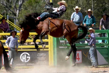 Make Vets Mandatory at Rodeos