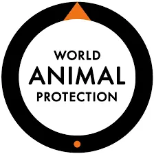 WAP Logo
