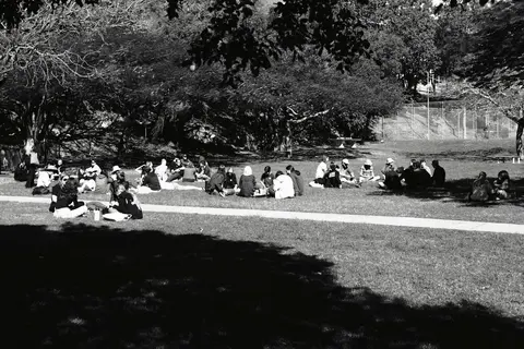 Lunch on the grass