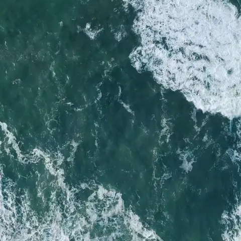 Protect our oceans