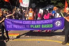 The future is plant based