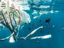 Ocean plastic - photo by Naja Bertolt Jensen on Unsplash