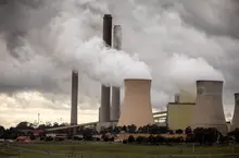 Protect forests, not polluters