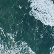 Protect our oceans