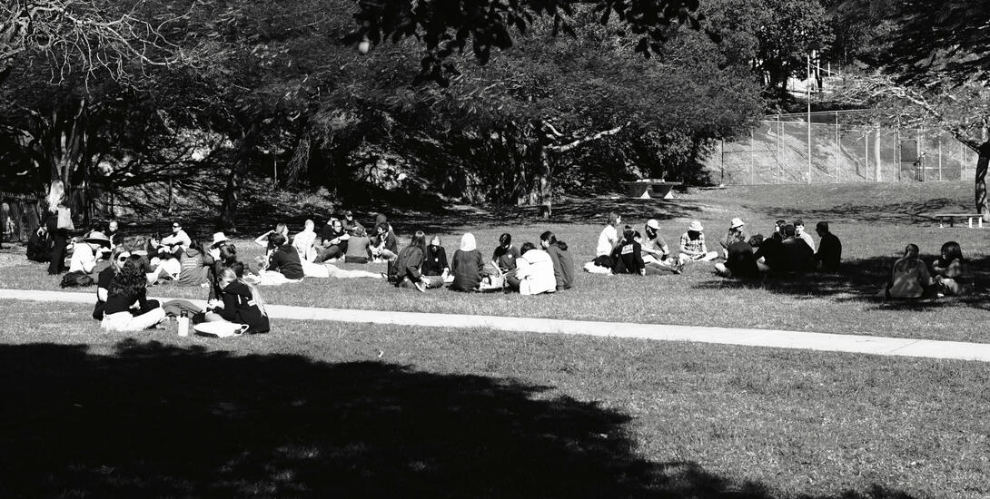 Lunch on the grass
