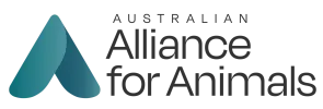 AAA Logo